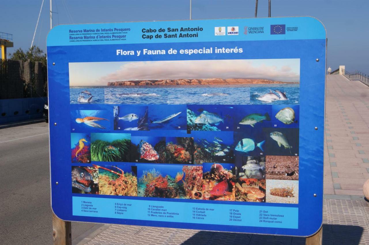Apartamento Las Marinas II En Denia Exteriör bild